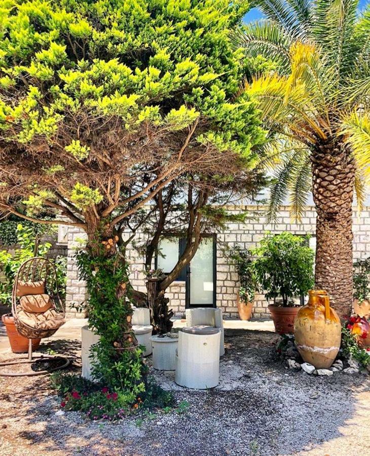 Le Due Palme Bed & Breakfast Сироло Экстерьер фото